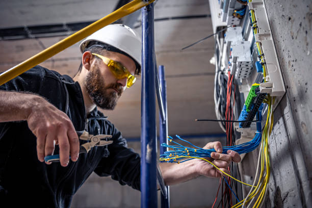Best Ceiling Fan Installation Electrician  in Royalton, IL
