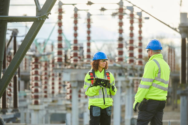 Best Electrical System Inspection  in Royalton, IL
