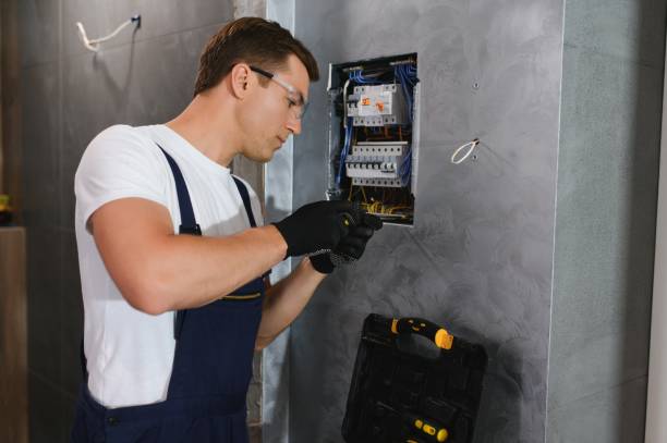 Best Electrician for Home Renovation  in Royalton, IL