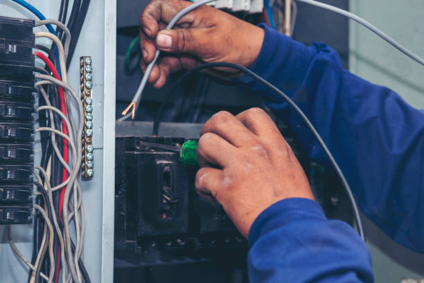 Best Home Electrical Repair  in Royalton, IL