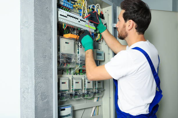 Best Electrical System Inspection  in Royalton, IL
