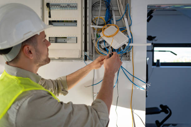 Best Electrician for Home Renovation  in Royalton, IL